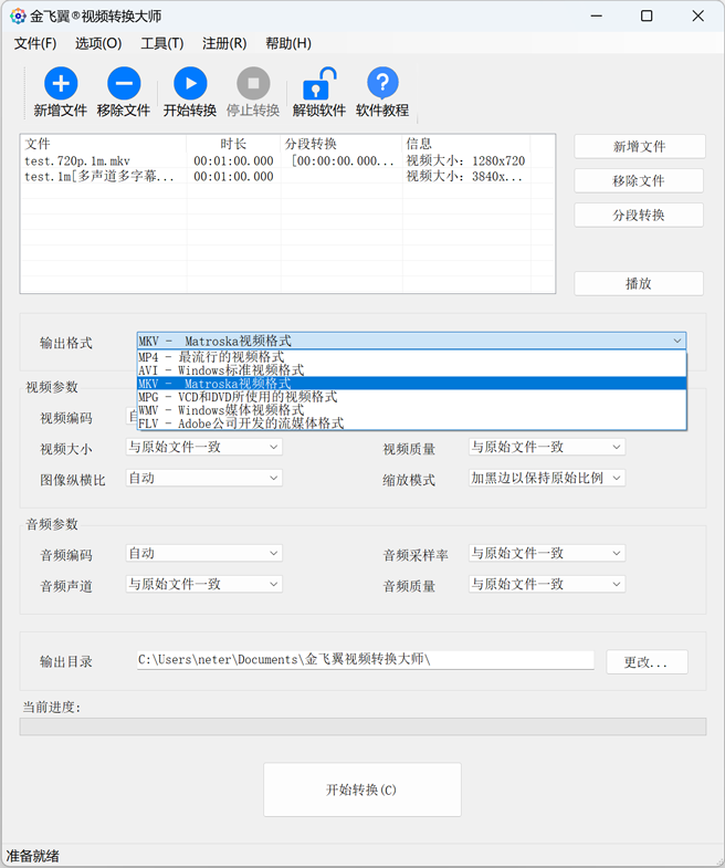 金飞翼视频转换大师屏幕截图